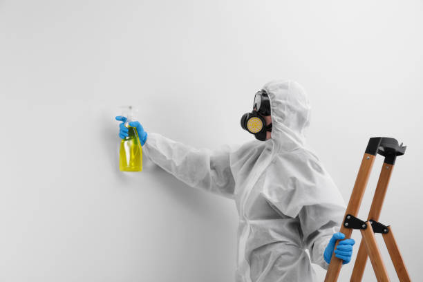 Best Asbestos and Lead Testing During Mold Inspection  in White Marsh, MD